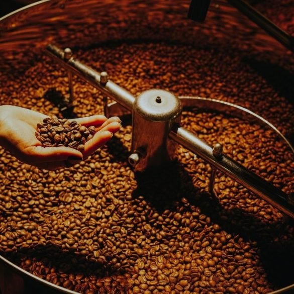 Coffee Roasting Brew Ready